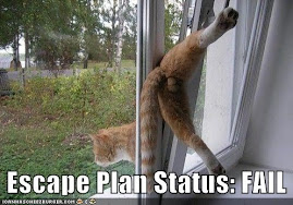 Escape plan