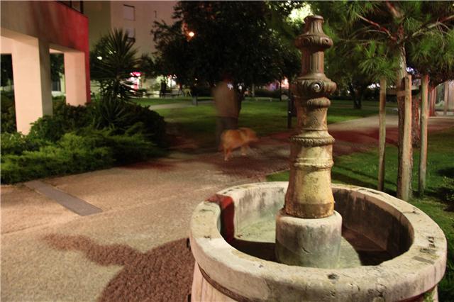 Night Fountain
