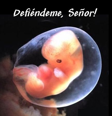 [defiendeme2.jpg]