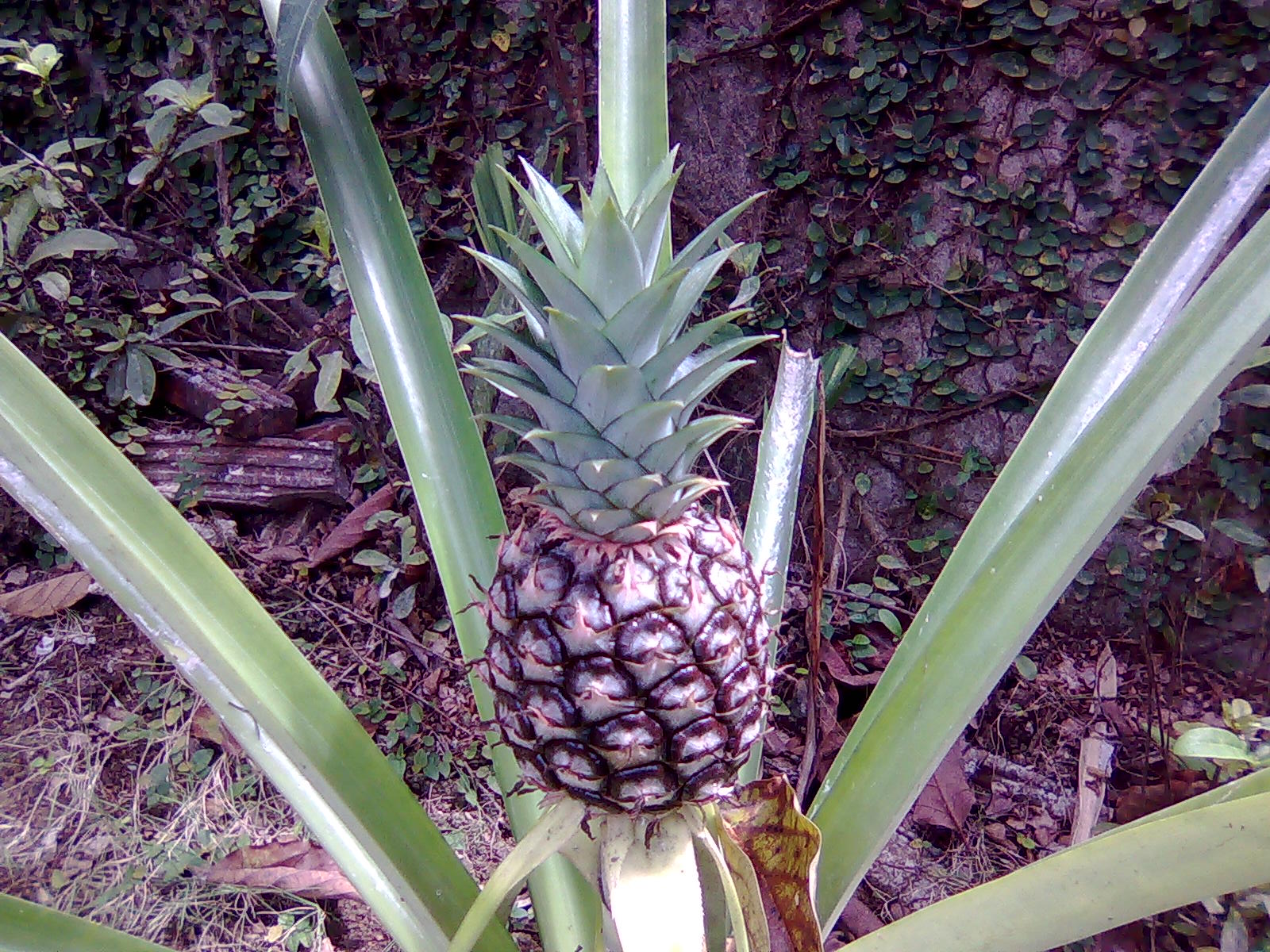 [Image051.jpg]