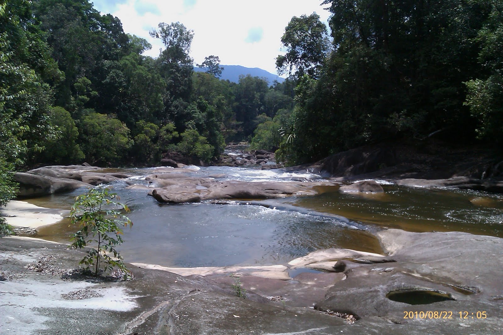 Liewwk Nature Photography: Travel - National Park Endau Rompin, Johor ...