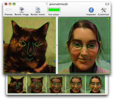norrkross morphx troubleshooting norrkross morphx troubleshooting