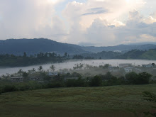 A view on an early morning walk
