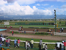 Caymanas Downs