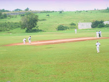 Cricket in Mandeville