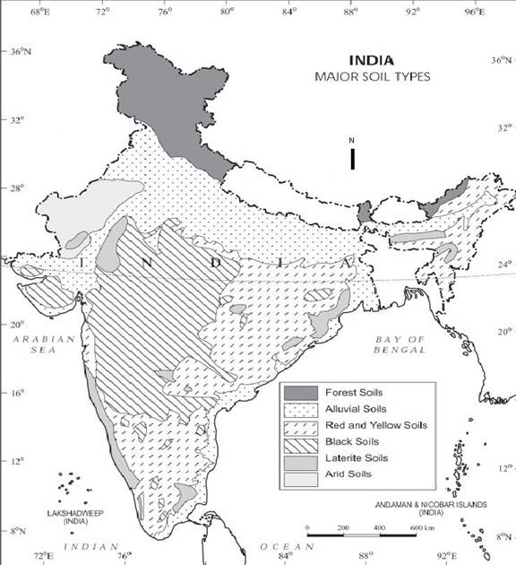 Major Soil Types India Outline Map