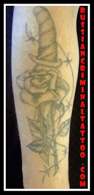 tatuirovka roza i kinzhal