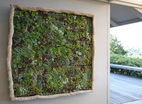 [verticalgarden2.jpg]