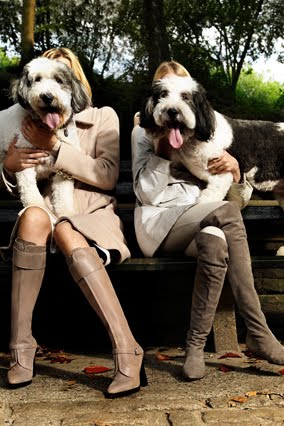 [200911-omag-boot-trendsdogs1.jpg]