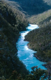 Biomas de chile: Biomas de agua dulce