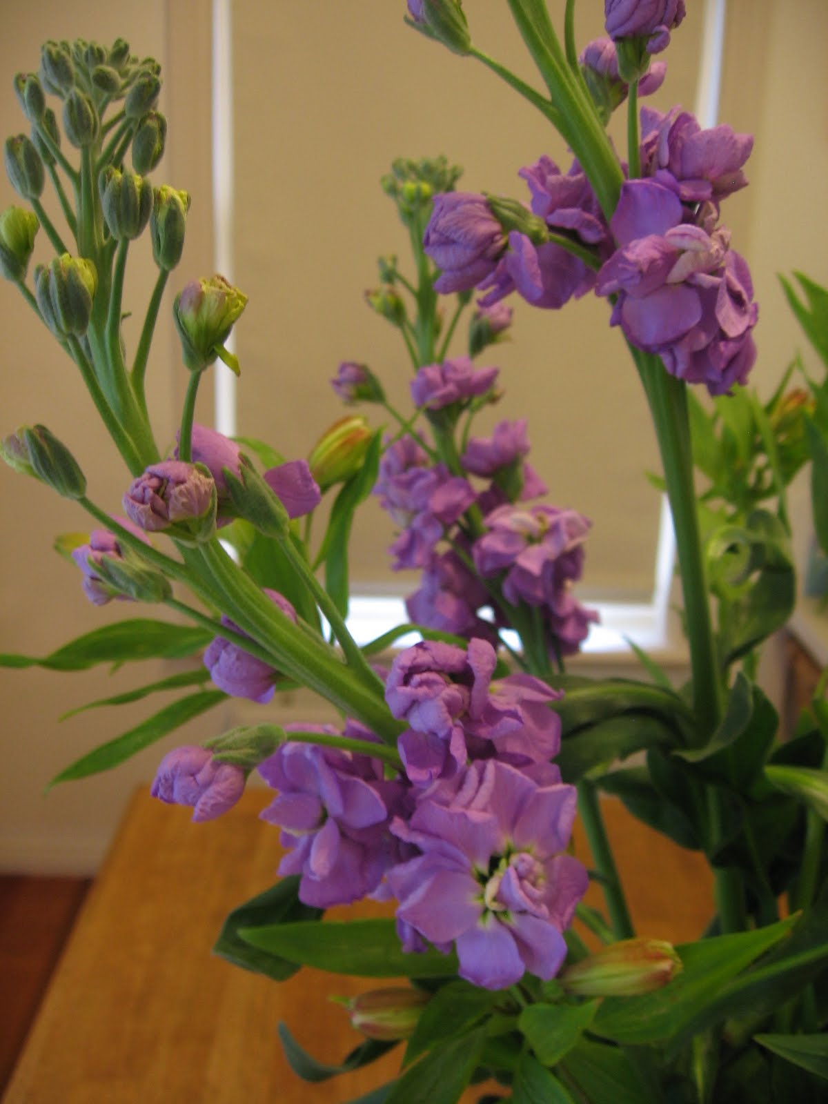 Ungardened Moments Cinnamon flowers