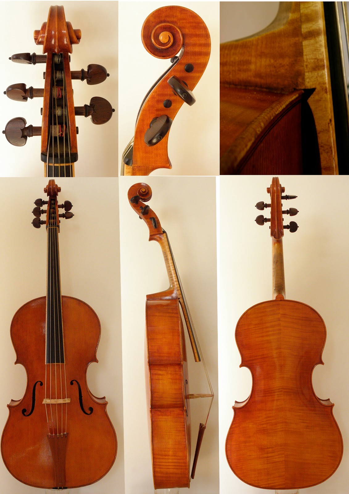 Antica Liuteria Herrera Valli Il Violoncello Piccolo