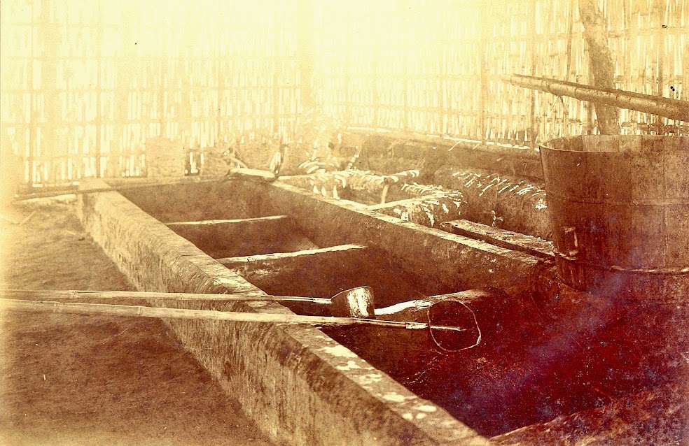 Image credit: University of Michigan Digital Collections. Image credit: University of Michigan Digital Collections.