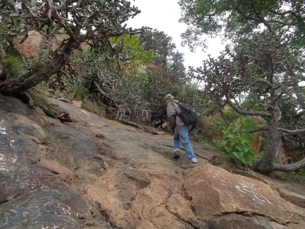 132) Kabbaldurga Trek Breaking (2/7/2016)