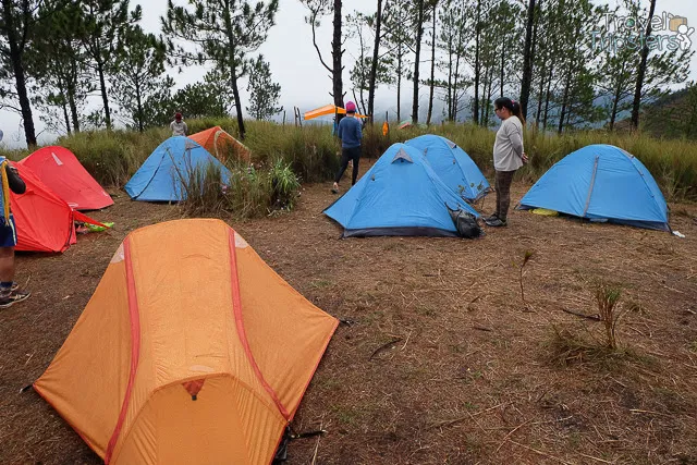 mount pulag ranger station