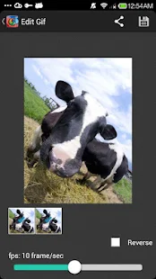 GIF Camer