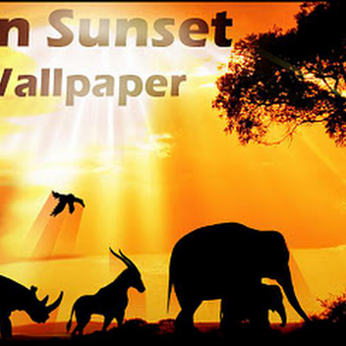 African Sunset Live Wallpaper Lite