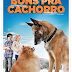 Bons pra Cachorro (Dublado 2014)