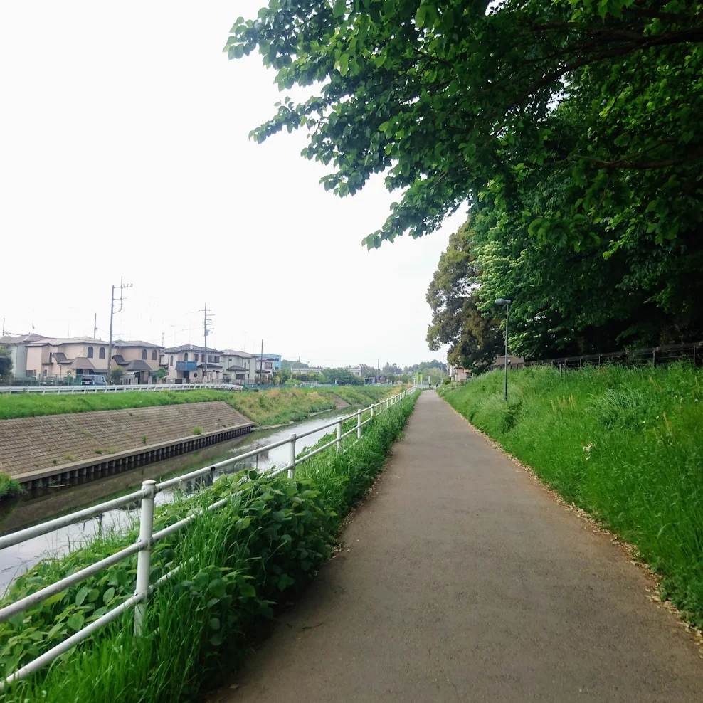 境川自転車道