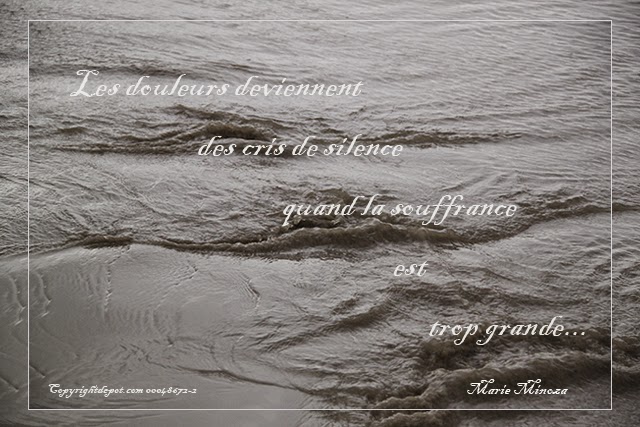 Au Pays Des Images Et Des Mots Citation Les Douleurs