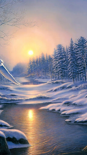 HD Wallpapers Pro